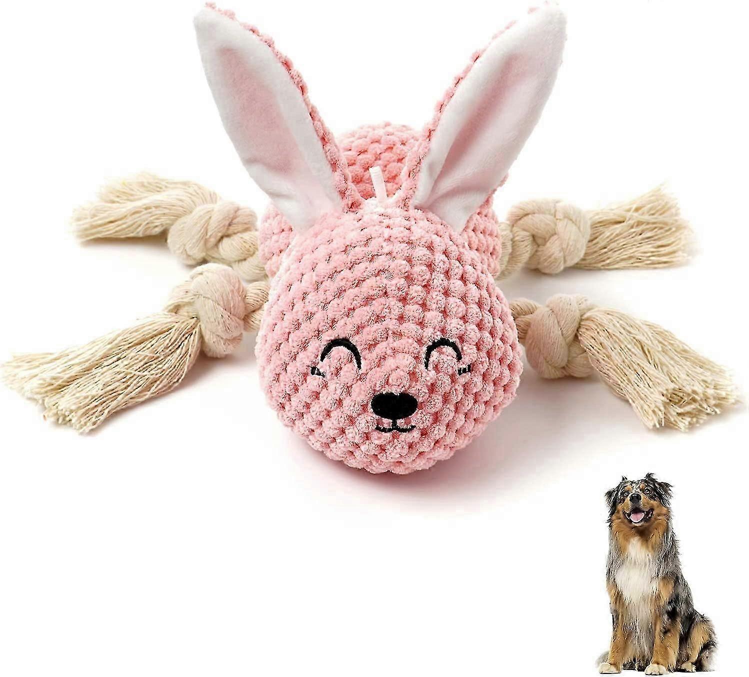 Puppy Toys Squeaky Dog Toys With Puzzle Plush Stuffing, Durable Dog Chew Toy