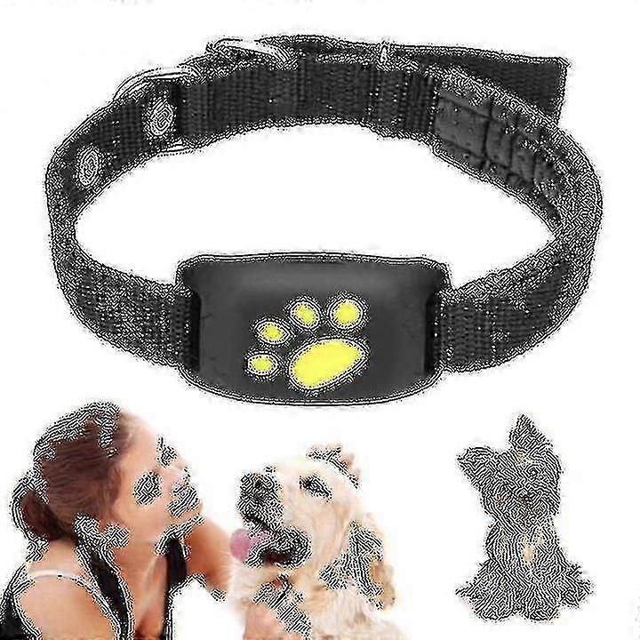 Smart Gps Cat And Dog Collar Tracker-hy