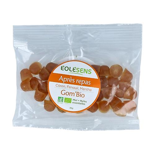 Organic Gom'Bio After Meal Refill 45 g (Mint)