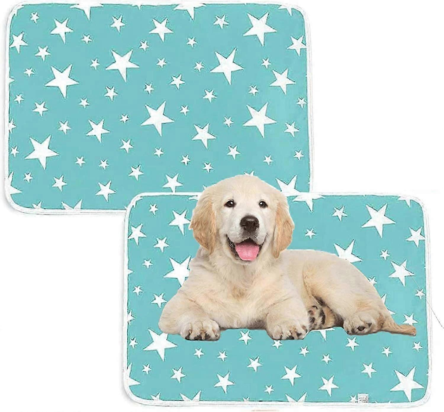 2Pcs réutilisables Puppy Pads Puppy Training Pads, Lavables Dog Pet Training Pee Pads, (50X70Cm)