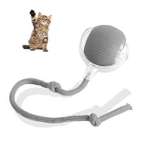 Interactive Pet Toy Ball Automatic Dog Walker SelfMoving Motion Activated Obstacle Avoidance Grey For Cats And Dogs