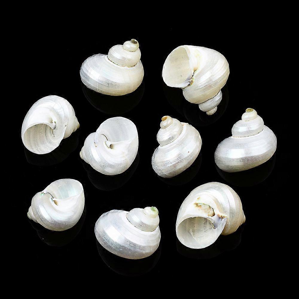 Natural Spiral Shell Beads No Hole Shell 21~29x21~29x17~25mm