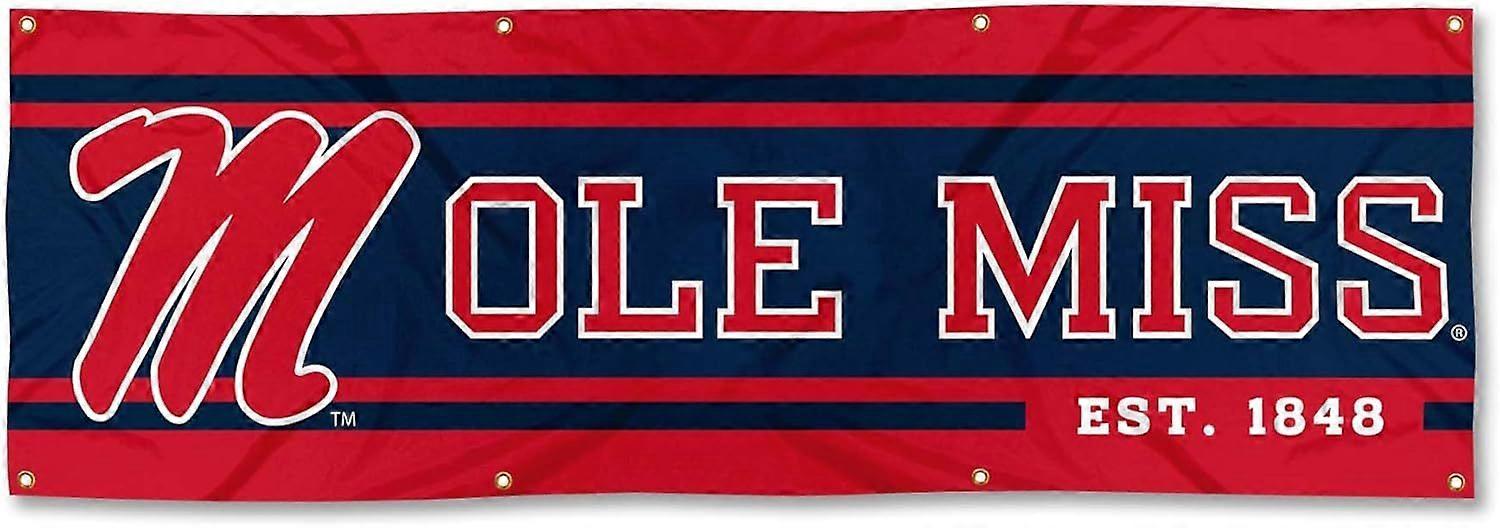 Ole Miss Banner H0075