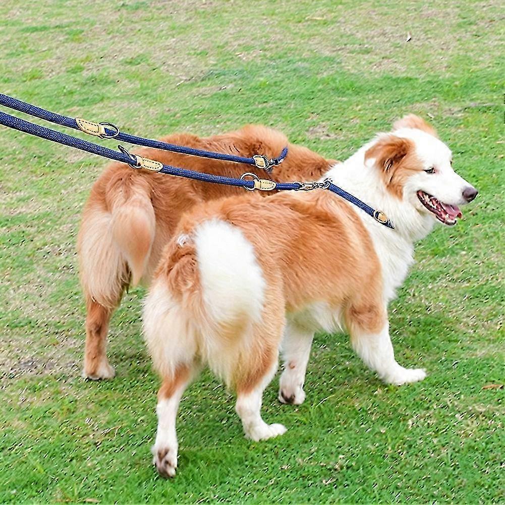 Adjustable Two-Dog Hands-Free Leash