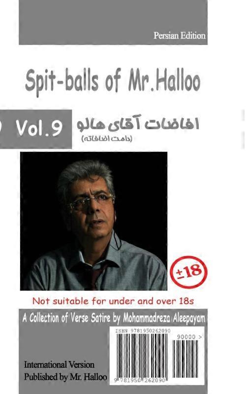 Mr Halloo Book 9