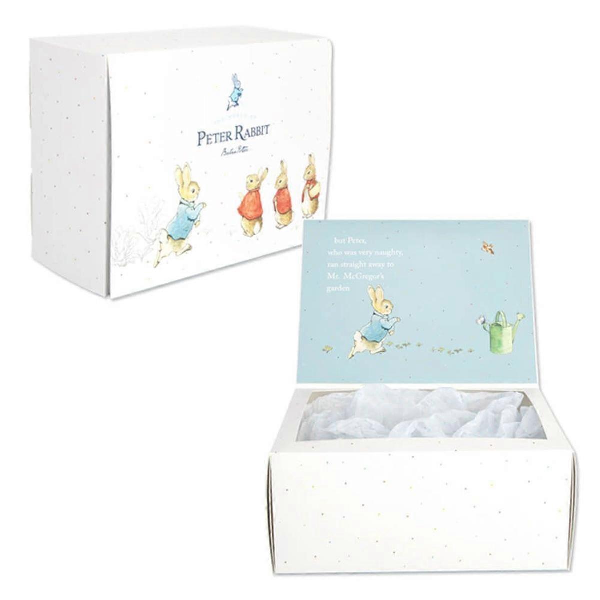 Beatrix Potter Decorative Character Keepsake Presentation and Storage Gift Box
