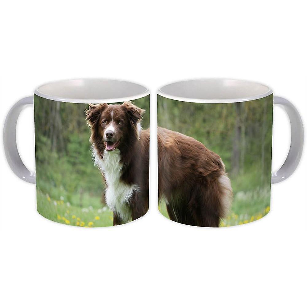Geschenkbecher: Collie Dog