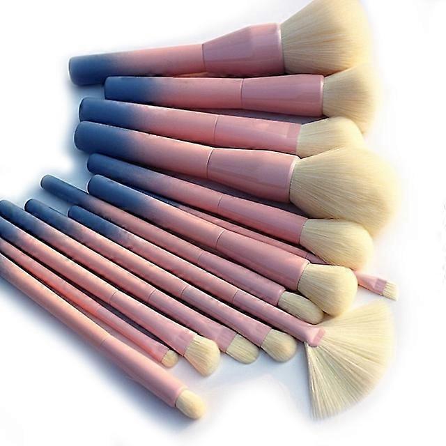 Pro Gradient Color 14pcs Set Cosmetic Brush Kit