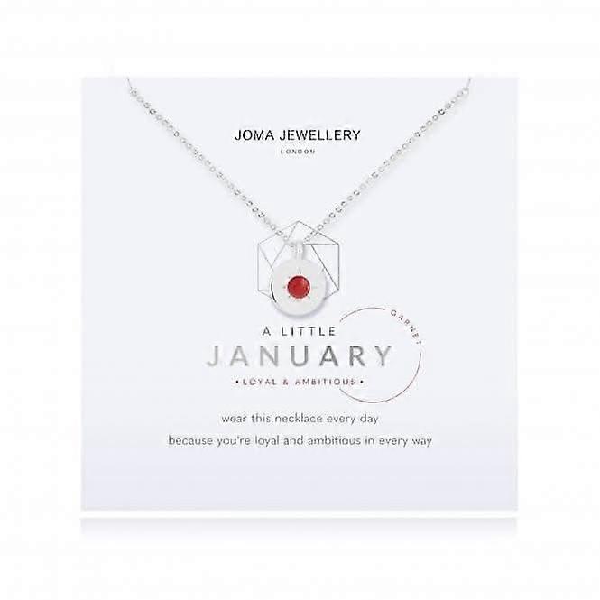 Birthstone a little January Garnet Necklace 4654
