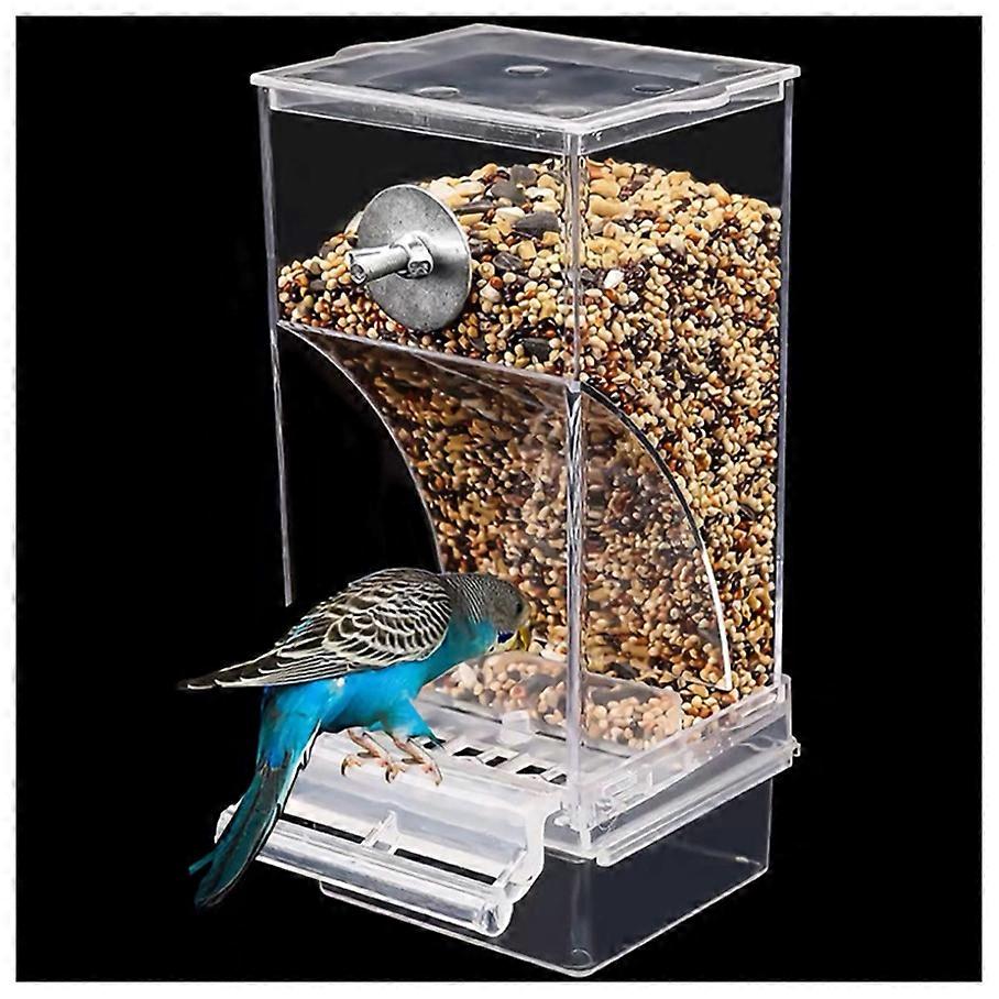 Automatic Bird Feeder Curved Design