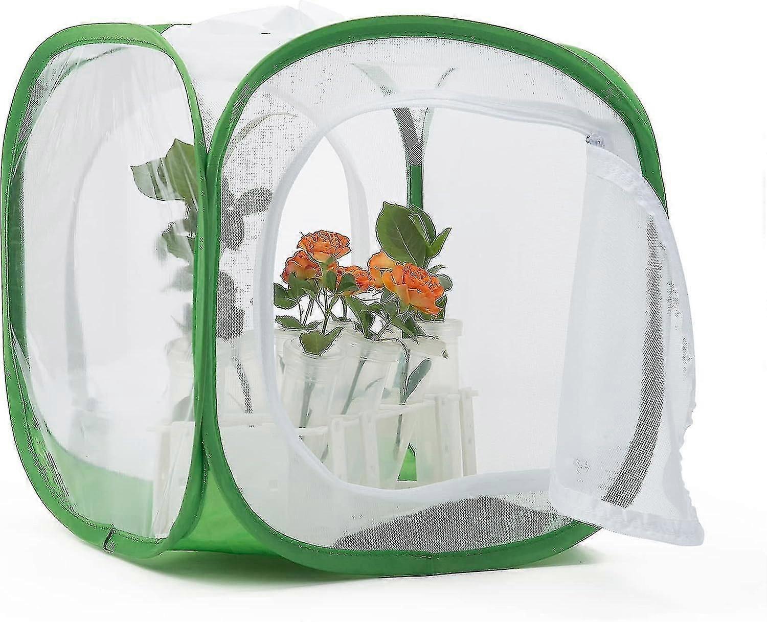 Collapsible Insect And Butterfly Habitat Net 40*40*60cm