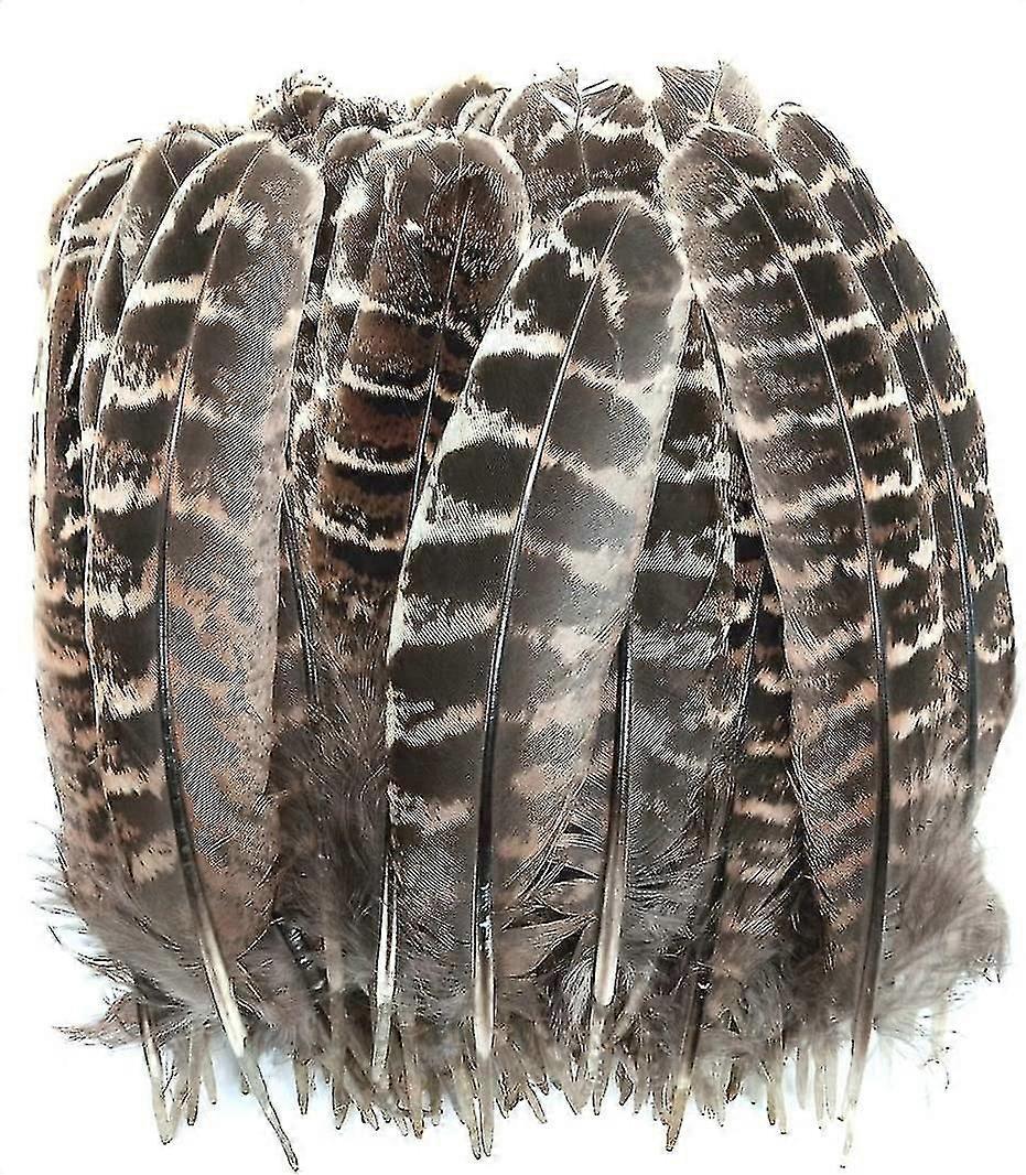 100pcs Natural Pheasant Feathers for Crafts Decor