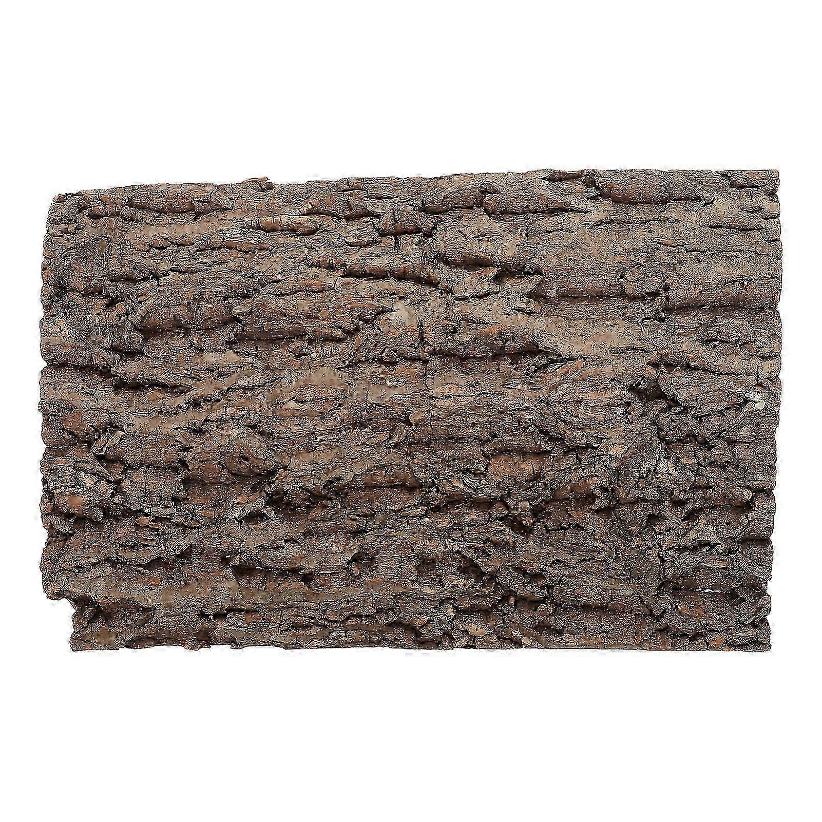 Cork Bark Background Reptile Tank Accessories 20 x 30 cm Reptile Decoration Reusable