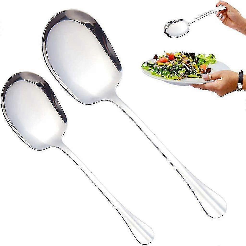 Two Stainless Steel Serving Spoons, Serving Spoons, Long Handled Serving Spoons