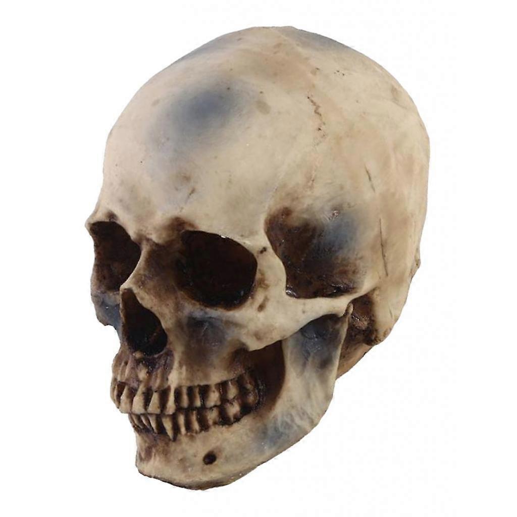 1 Pcs Artificial Resin Skull Head Garden Planter Multifunctional Tabletop