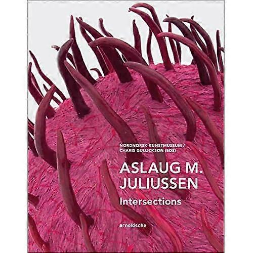 Aslaug M. Juliussen: Intersections