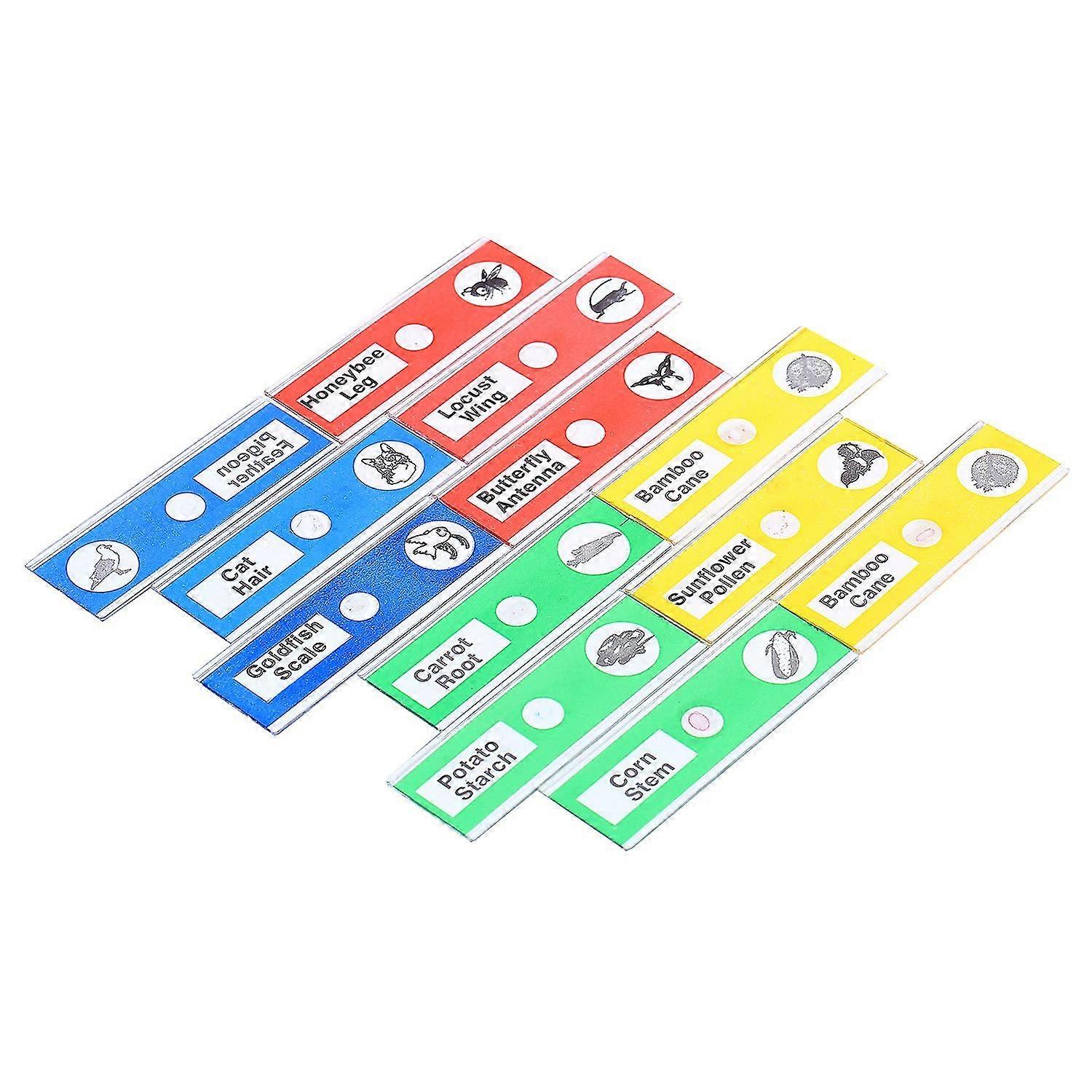 12pcs Prepared Microscope Slides Specimen Animals Insects Plants