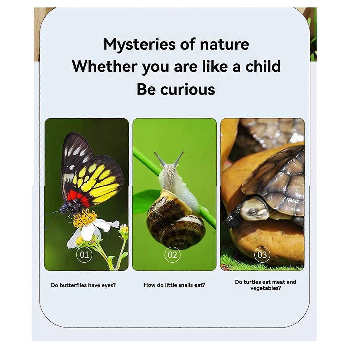 New Bug Viewer Outdoor Insect Box Magnifier Observer Kit Insect Catcher Cage Kids Science Nature Exp