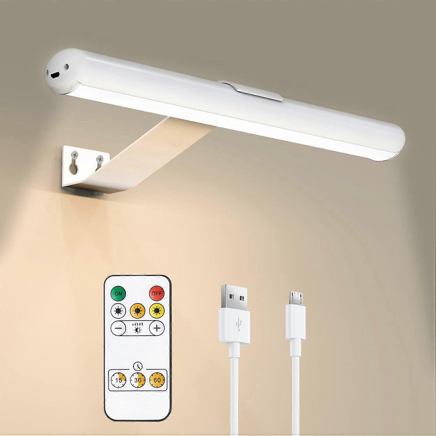 LED painting light, mirror light Mirror lamp with remote control for art display