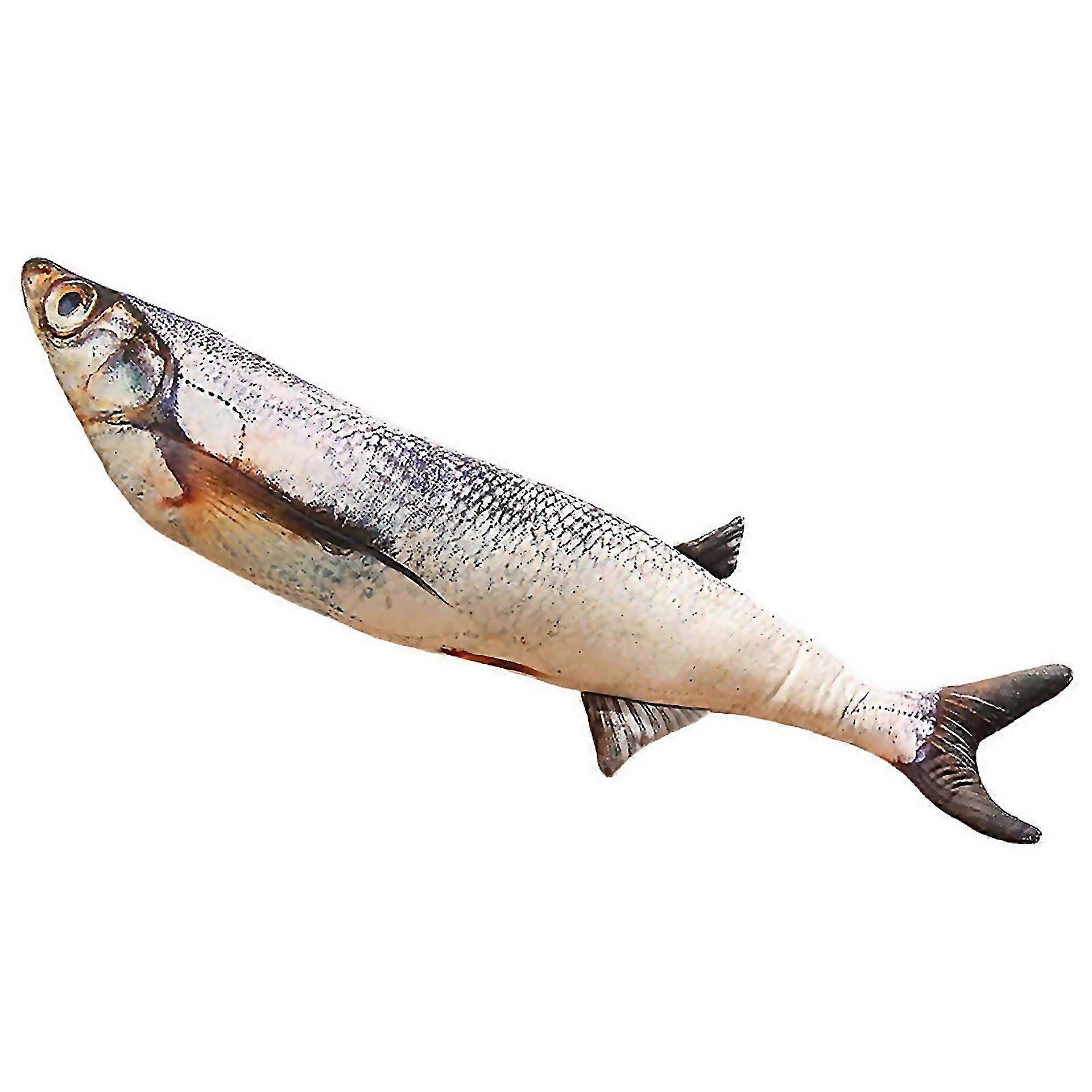 For Simulation Fish Doll Plushs Toy Sleep Pillow Aquarium Doll Easy To Clean And Maintain