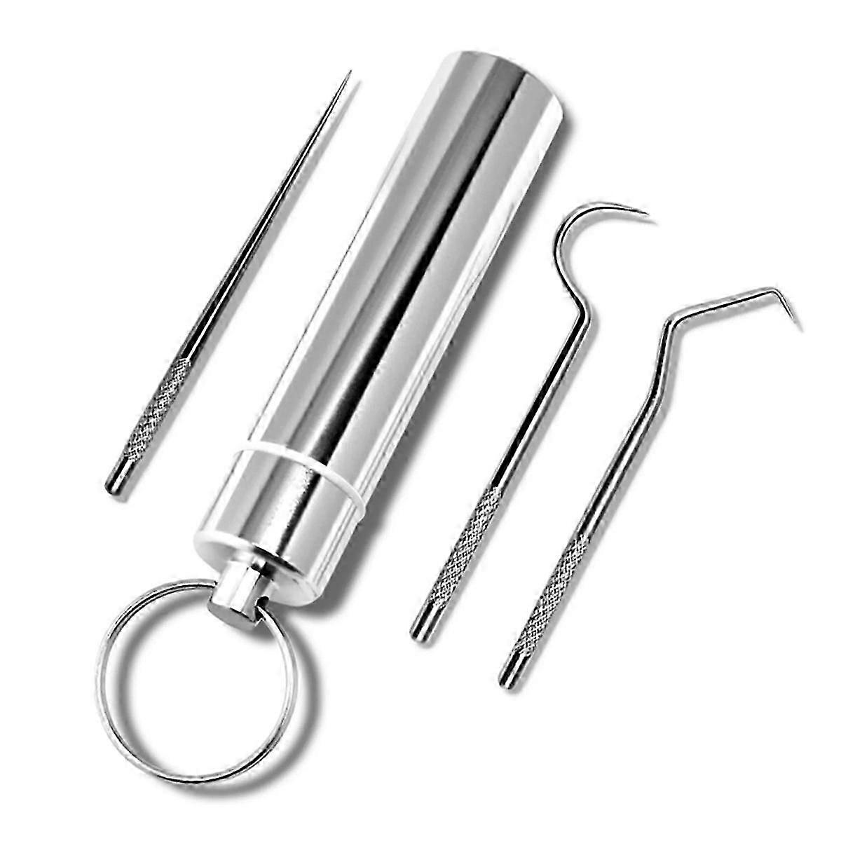Portable Stainless Steel Toothpicks Set for Teeth Cleaning