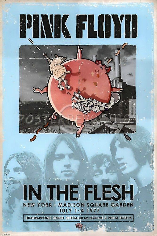 Rompecabezas de Pink Floyd S0950