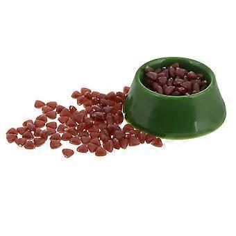 Gamelle miniature pour chien, modèle pour maison de poupée, gamelle décorative verte