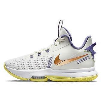 Nike LeBron Witness 5 Ep 'Summit White Metallic Bronze' CQ9381-102
