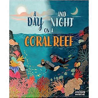 A Day and Night On a Coral Reef