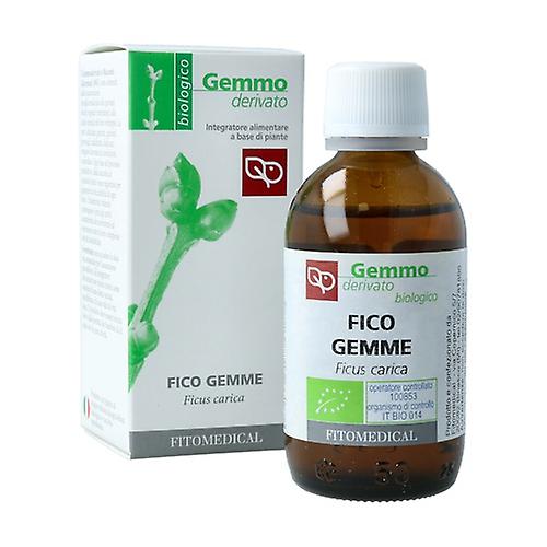 Fico Gemme (Ficus carica) 50 ml