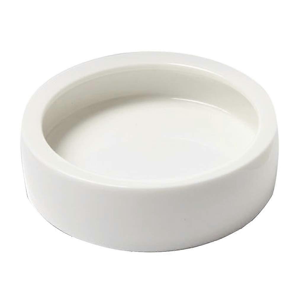 Pet Feed Feeder Ceramics for Lizard Gecko Bearded Dragon