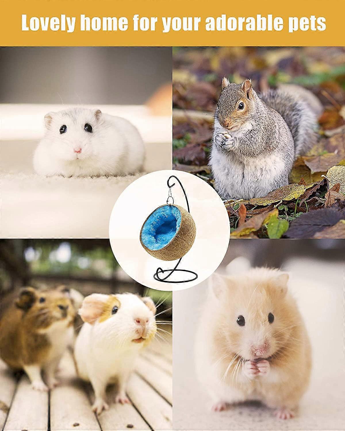 2 Stück Meerschweinchenbetten / Hamsterbetten – Weich, Warm & Rutschfest, 20x20 Cm, Für Kleine Nager