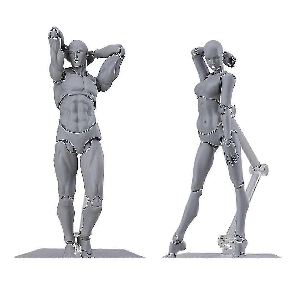 Jointed Action Figure Model for Stop Motion and Drawing B