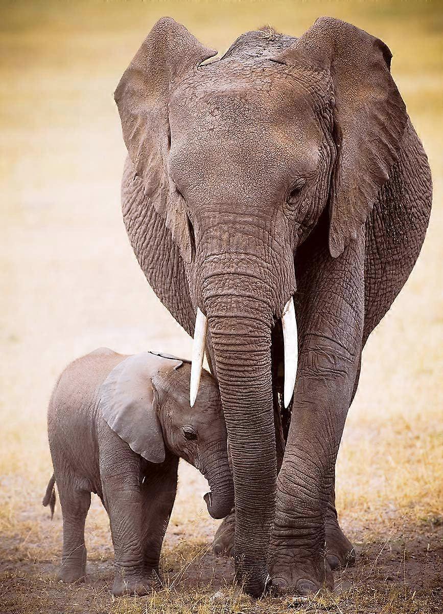 Elefante e bebê 1000 peças quebra-cabeça