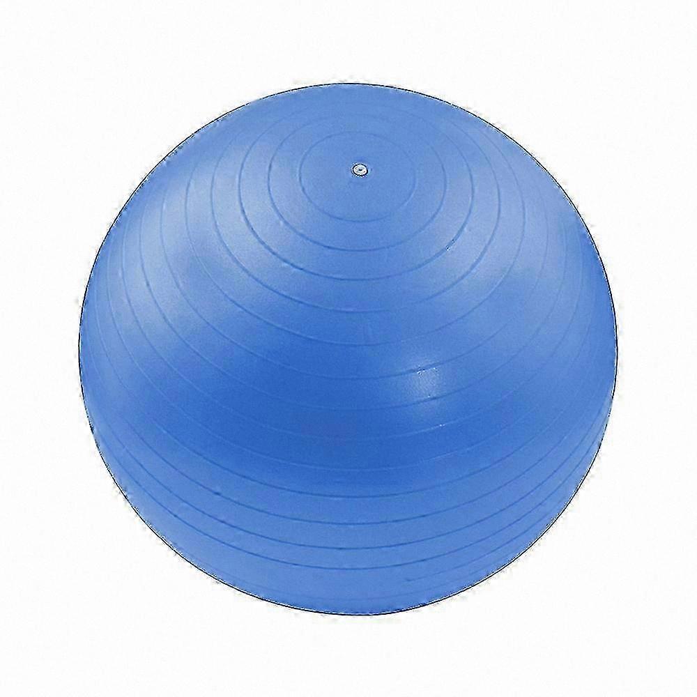 Exercise Ball for Yoga, Workout, and Training with Stability Support