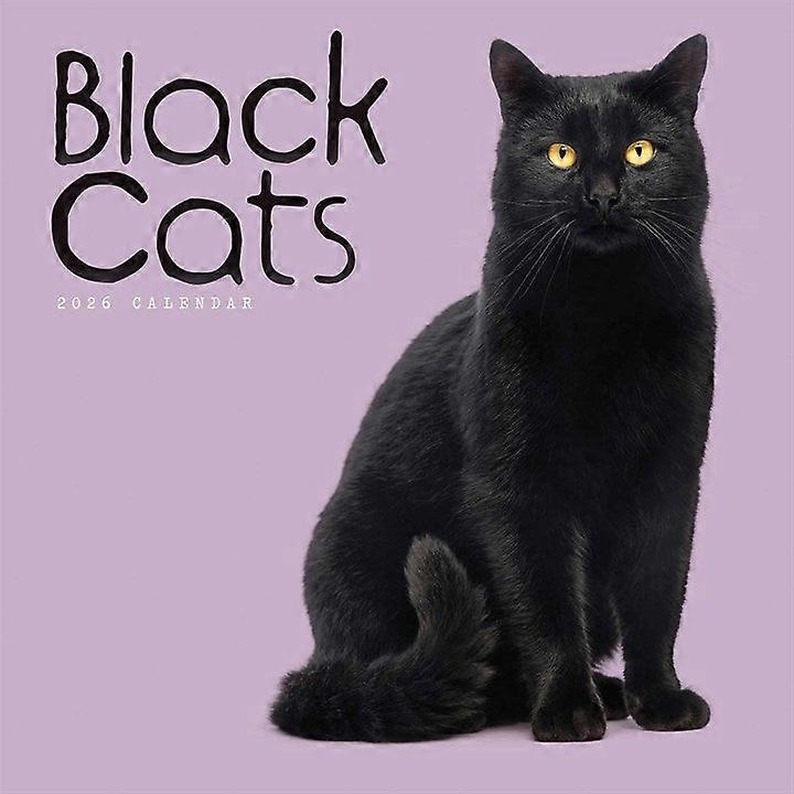 Carousel Calendars Carousel Calendars Black Cats Calendar 2026 (2)