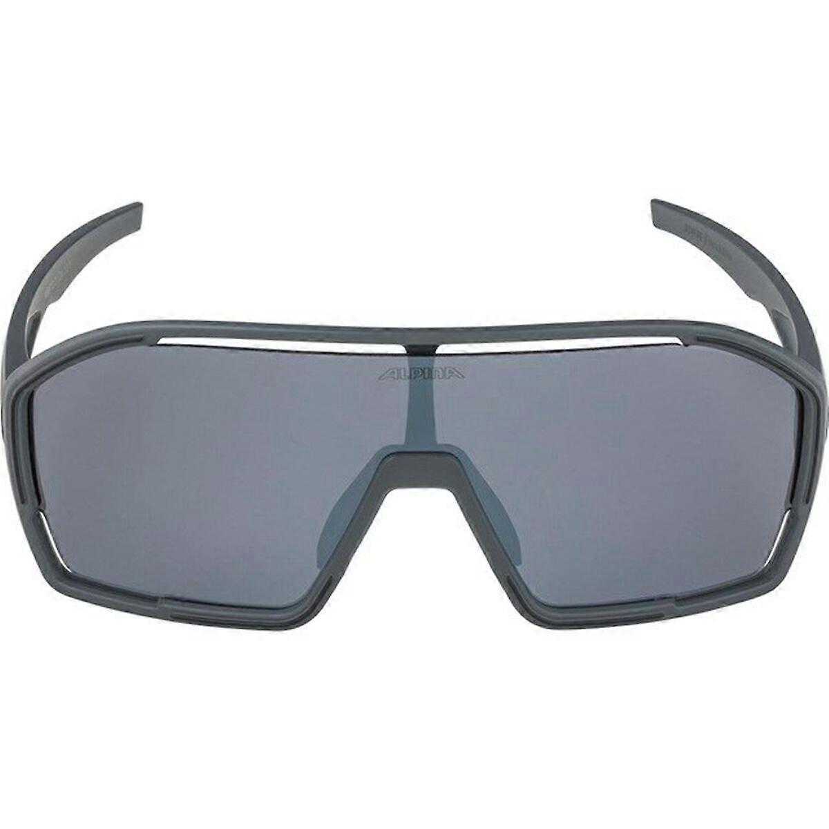 Herrensonnenbrille Alpina A8687321