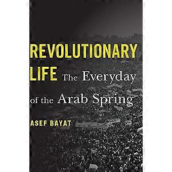 Revolutionair leven: het dagelijkse leven van de Arabische lente