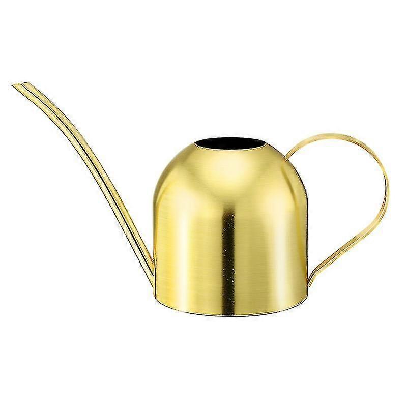 1pcs Watering cans, Watering Can Indoor Plants