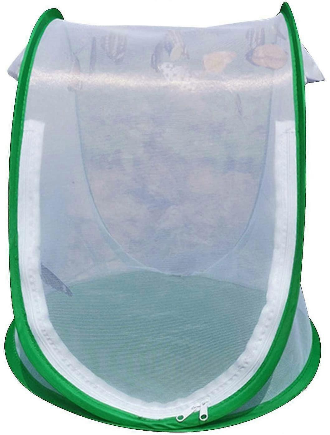 خيمة الدفيئة النباتية الصغيرة مع غطاء شفاف نبات محمي ينمو المنزل ، غطاء نبات البستنة القابل للطي المحمول مراقبة الحشرات الصافية الواقية