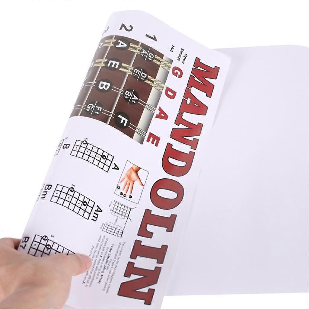 Mandolin Chord Chart Easy Chord & Fretboard Note Chart Instructional Poster