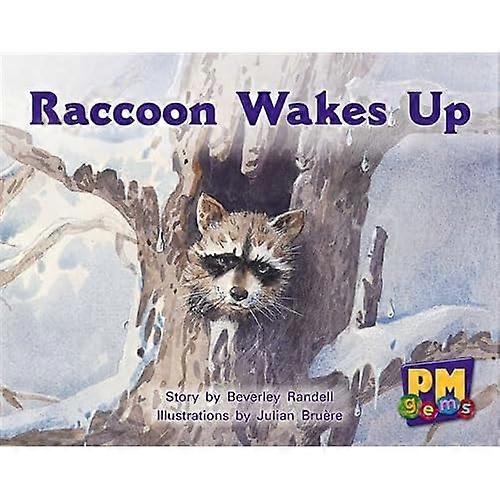 Raccoon Wakes Up