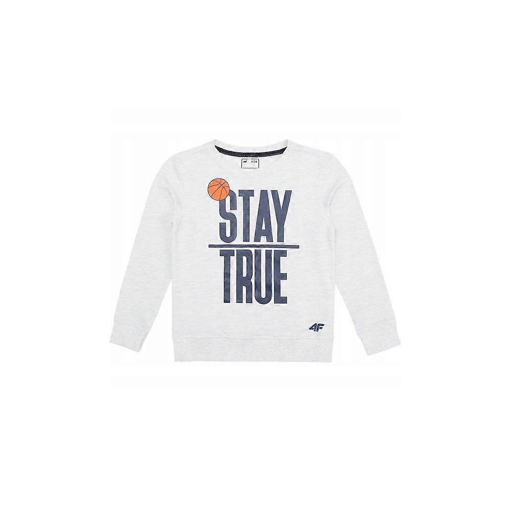 Sweatshirts 4F HJL18JTSML20027M