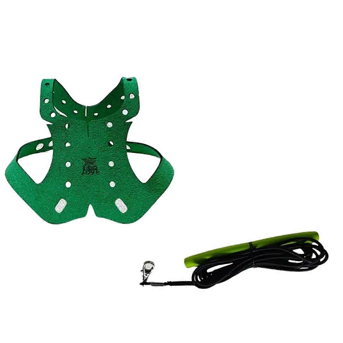 Parrot Pigeon Harness and Leash Flying Anti-Bite Traction Rope Straps Bird Training Outdoor Carrying Adjustable Bird A