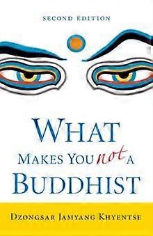 What Makes You Not A Buddhist by Dzongsar Jamyang Khyentse Paperback