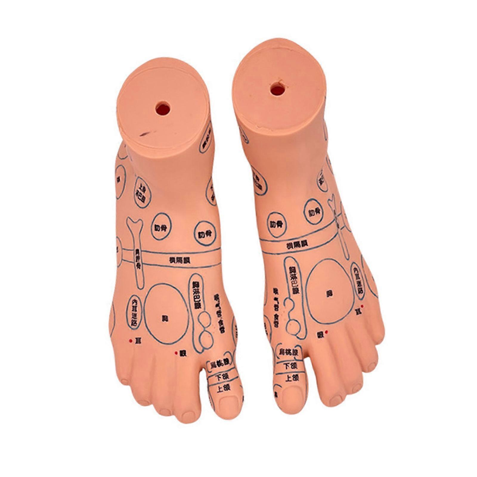 Infant Massage Training Model With Acupoints Points Baby Acupoint Model For Nursing Education And Skill Development Multicolor