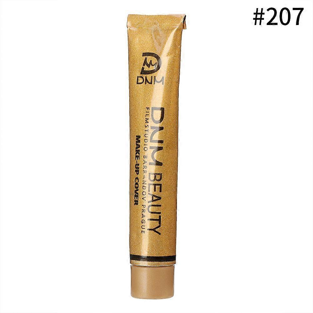 DNM 30g Acne Marks Concealer Foundation Base Dark Circle Concealer Cream 207#
