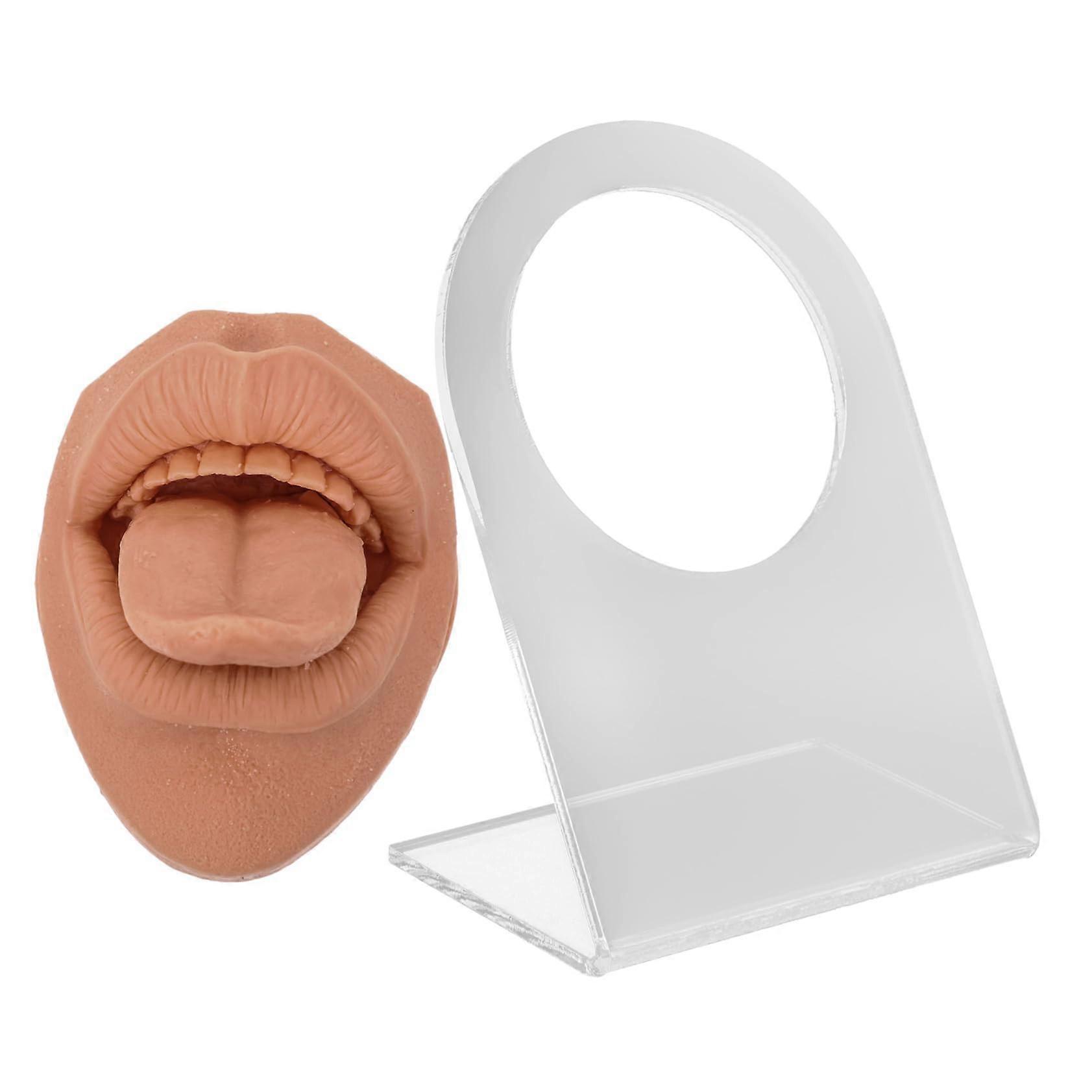 Piercing Practice Model with Realistic Silicone Tongue Trainer and Stable Stand for Training
