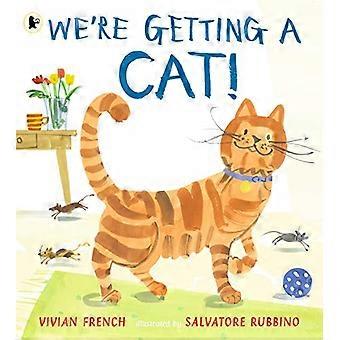 Wir bekommen eine Katze!