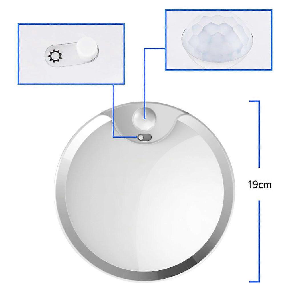 Simple Lamp Ceiling Light for Illuminating 2Pcs LED Ceiling Lamps